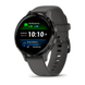 Garmin Venu 3S Slate Stainless Steel Bezel with Pebble Gray Case and Silicone Band 010-02785-00 фото 1