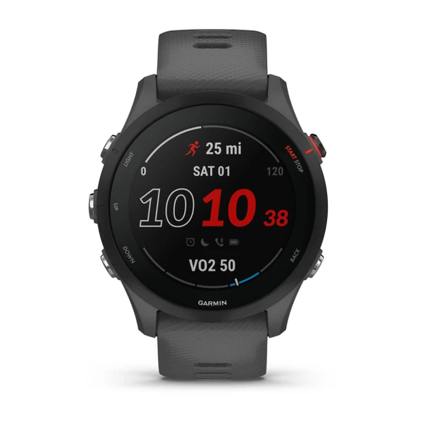 Garmin Forerunner 255 Slate Gray 010-02641-00 фото