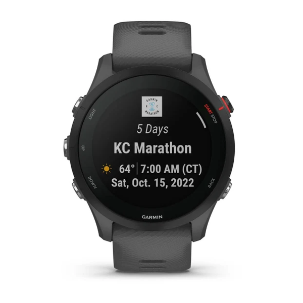 Garmin Forerunner 255 Slate Gray 010-02641-00 фото