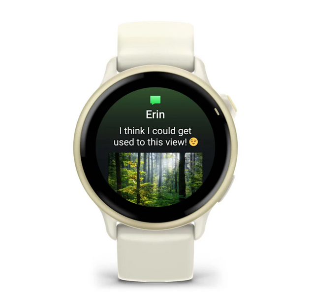 Garmin Vivoactive 6 Lunar Gold with Bone Band 010-02985-01 фото