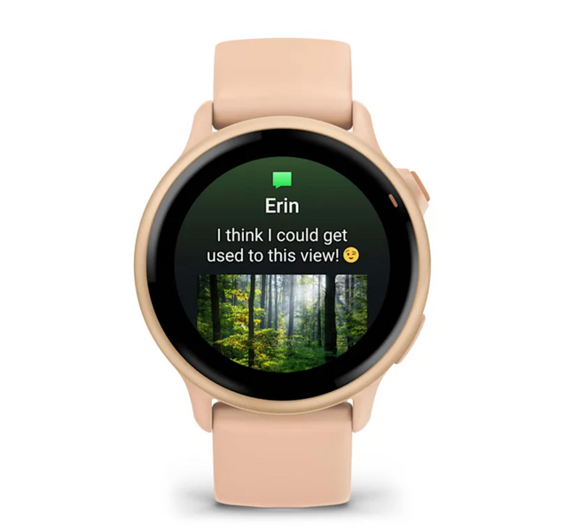 Garmin Vivoactive 6 Metallic Pink Dawn with Pink Dawn Band 010-02985-03 фото