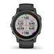 Garmin Fenix 6S Sapphire Black 010-02159-24 фото 2