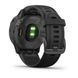 Garmin Fenix 6S Sapphire Black 010-02159-24 фото 8
